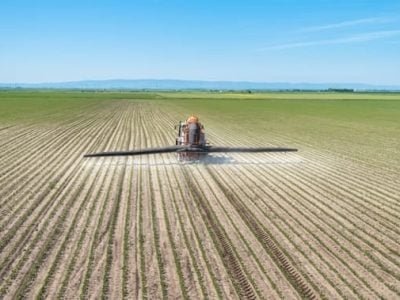 Créditos Shutterstock