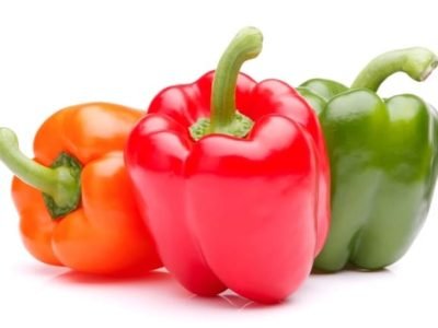 Créditos Shutterstock