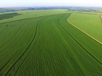 Créditos Shutterstock