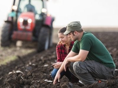 Créditos Shutterstock