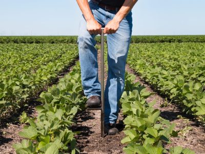 Créditos Shutterstock