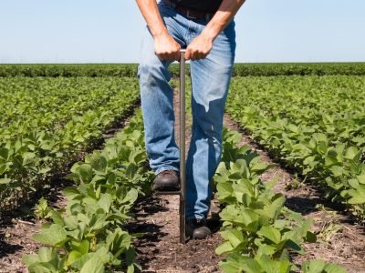 Créditos Shutterstock