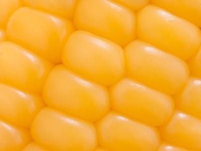 Créditos Shutterstock