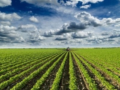 Créditos Shutterstock