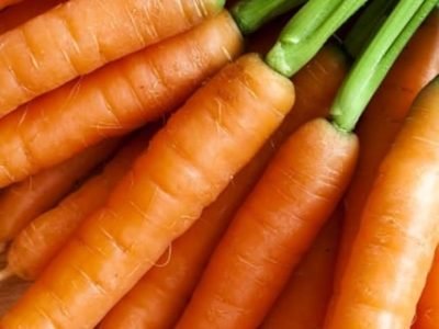 Créditos Shutterstock