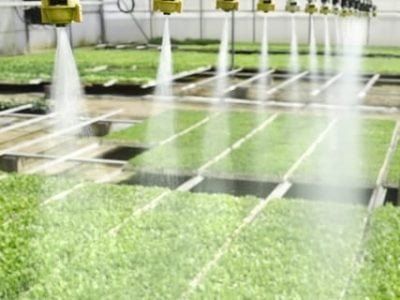 Créditos Shutterstock