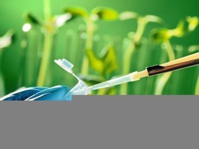 Créditos Shutterstock