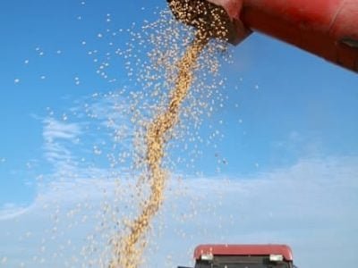 Créditos Shutterstock