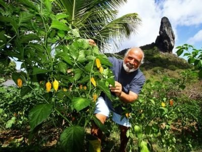 Créditos Zé Henrique Moura