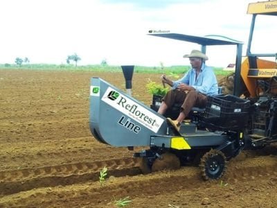 CréditosReflorest MS