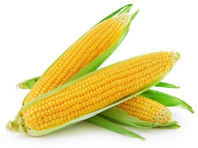 CréditosShutterstock