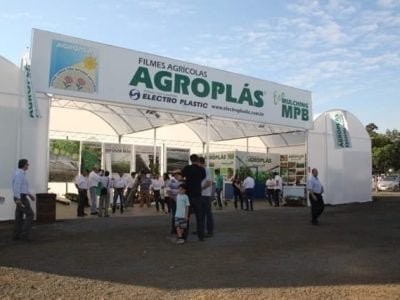 Electro Plastic - Fotos Ana Maria Diniz