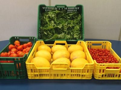 Embrapa - Crédito Embrapa