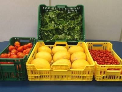 Embrapa - Crédito Embrapa