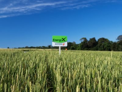 Foto-01-Energix-Foto-Rafael-Czamanski