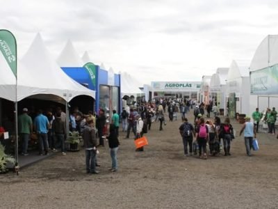 Especial Hortitec - Crédito Luize Hess