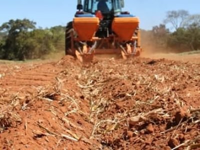 Fertilizantes organominerais estimulam a proliferação de microrganismos - Crédito Luize Hess