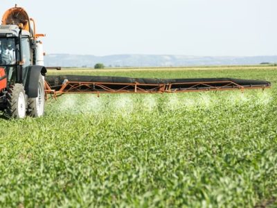 Fosfito aumenta eficiência e reduz dose dos defensivos - Créditos Shutterstock