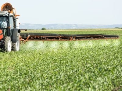 Fosfito aumenta eficiência e reduz dose dos defensivos - Créditos Shutterstock