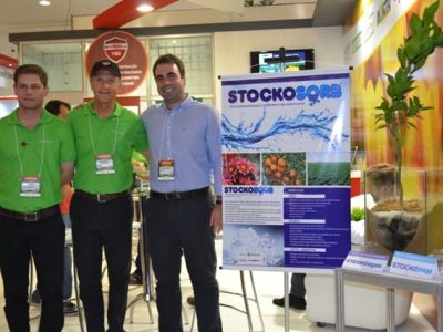 Foto Ana Maria Diniz