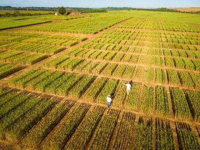 Foto Dirceu Portugal