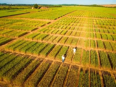 Foto Dirceu Portugal