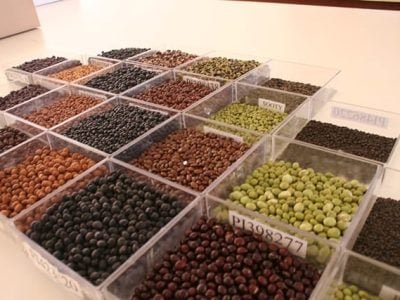 Foto Vladimir Moreira