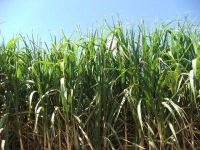 Fotos Ana Maria Diniz