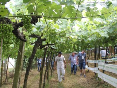 Fotos Ana Maria Diniz