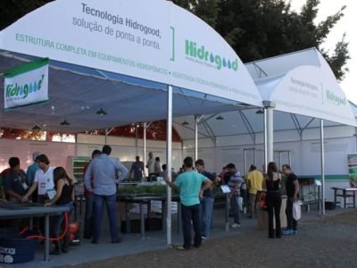 Fotos Ana Maria Diniz