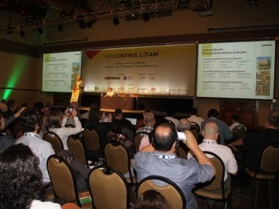 Fotos Ana Maria Diniz