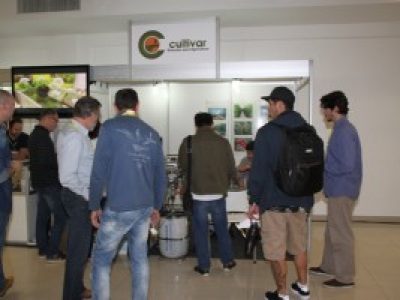 Foto-01-Fotos-Ana-Maria-Diniz3-300x200