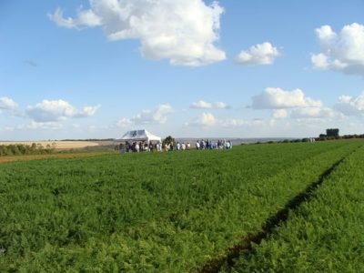 Foto-01-Fotos-Bejo-Sementes