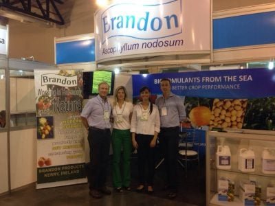 Foto 01 - Fotos Brandon