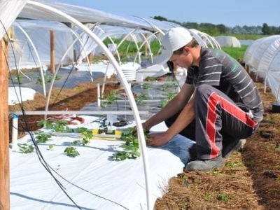 Fotos Carlos Reisser