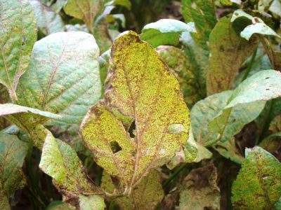 Fotos Cláudia Godoy