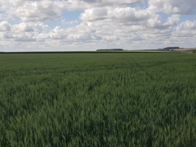 Fotos Eduardo Abrahim