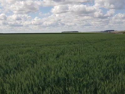 Fotos Eduardo Abrahim