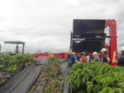 Fotos Fábio Partelli