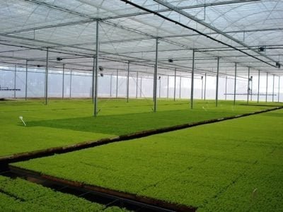 Fotos Ginegar Polysack