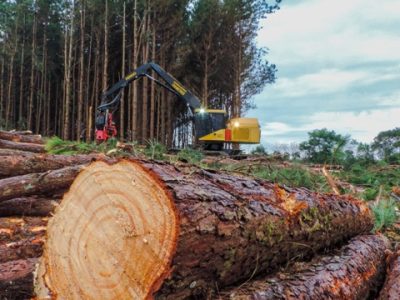 Fotos Gustavo Castro Feller
