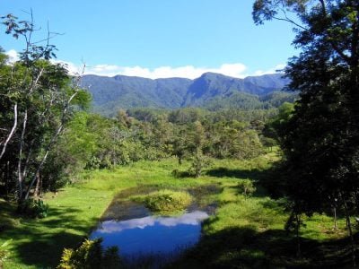 Fotos Instituto Florestal
