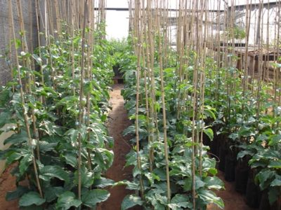 Fotos José Carlos Cavichioli