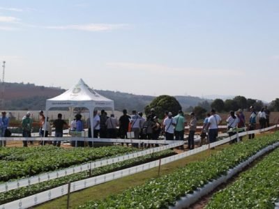 Fotos Adrielle Teodoro e Luize Hess