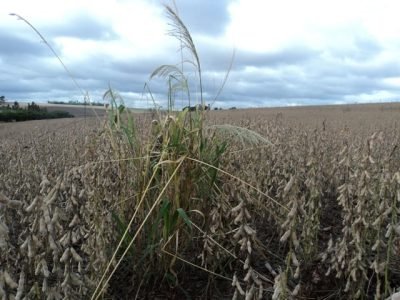 Fotos Sebastião Polato