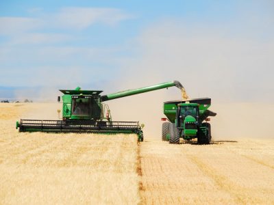 Foto-01-Fotos-Shutterstock-1