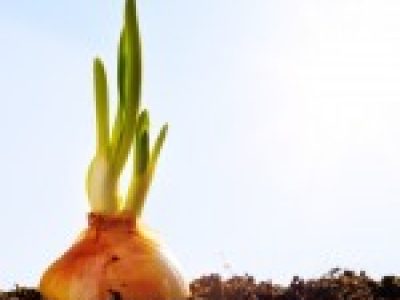 Foto-01-Fotos-Shutterstock-150x150