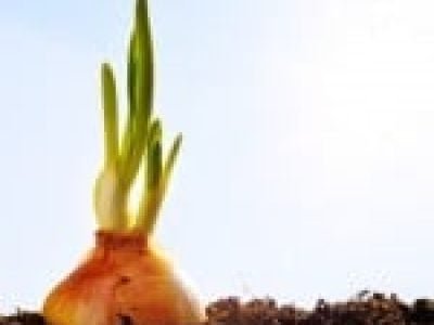 Foto-01-Fotos-Shutterstock-150x150