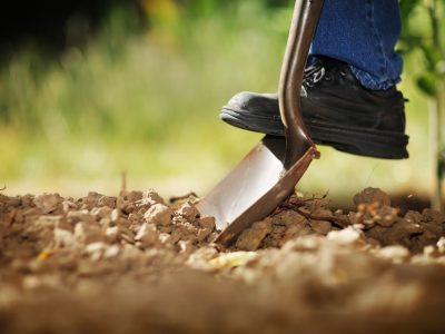 Foto-01-Fotos-Shutterstock-2