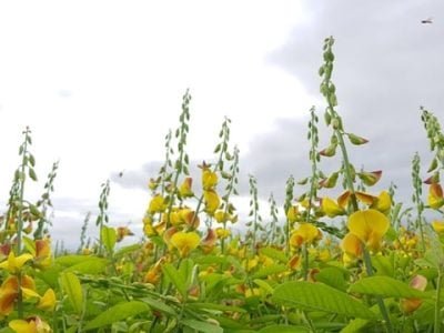 Fotos Solange Bonaldo